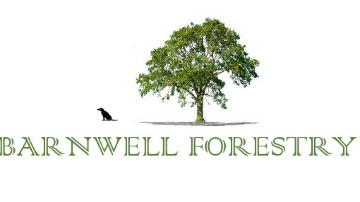 Barnwell Forestry